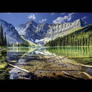 Meet your Posher, Tony